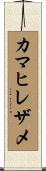 カマヒレザメ Scroll