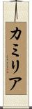 Camilia Scroll