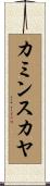 カミンスカヤ Scroll