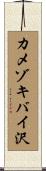カメゾキバイ沢 Scroll
