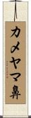 カメヤマ鼻 Scroll