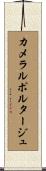 カメラルポルタージュ Scroll