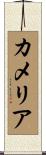 Camelia Scroll