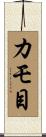 カモ目 Scroll