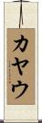 カヤウ Scroll