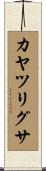 カヤツリグサ Scroll