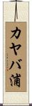 カヤバ浦 Scroll