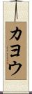 カヨウ Scroll