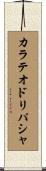 カラテオドリパシャ Scroll