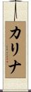Carina Scroll