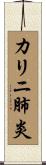 カリニ肺炎 Scroll