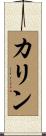 Karyn Scroll