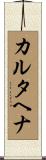 カルタヘナ Scroll