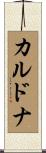 Cardona Scroll