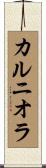 カルニオラ Scroll