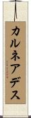 カルネアデス Scroll