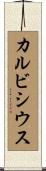 カルビシウス Scroll