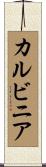 カルビニア Scroll