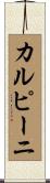 カルピーニ Scroll