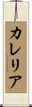 カレリア Scroll