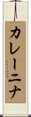 カレーニナ Scroll