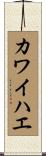カワイハエ Scroll