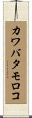 カワバタモロコ Scroll