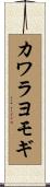 カワラヨモギ Scroll