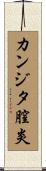 カンジタ膣炎 Scroll