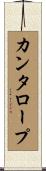 カンタロープ Scroll