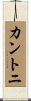 カントニ Scroll