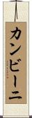 カンビーニ Scroll