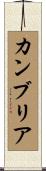 カンブリア Scroll