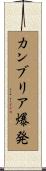 カンブリア爆発 Scroll