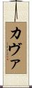 カヴァ Scroll