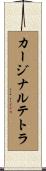 カージナルテトラ Scroll
