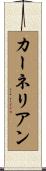カーネリアン Scroll