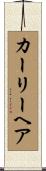 カーリー・ヘア Scroll