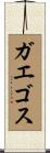 ガエゴス Scroll