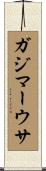 ガジマーウサ Scroll