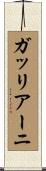 ガッリアーニ Scroll