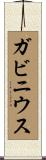 ガビニウス Scroll