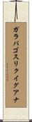 ガラパゴスリクイグアナ Scroll