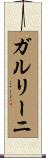ガルリーニ Scroll