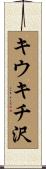 キウキチ沢 Scroll