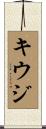 キウジ Scroll