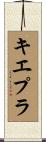 キエプラ Scroll