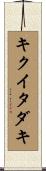 キクイタダキ Scroll