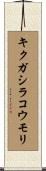 キクガシラコウモリ Scroll