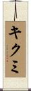 キクミ Scroll